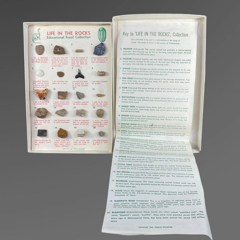 1963 Fossil Collection‎ Box Life in the Rocks Geology Science Educational 20 pc